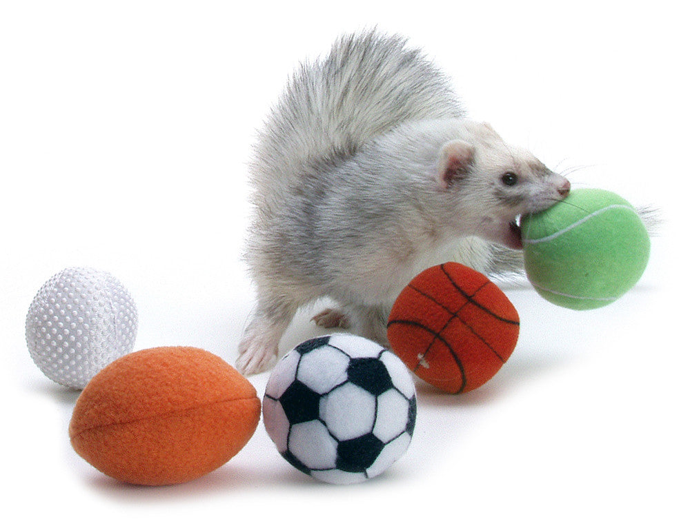 Marshall Ferret Sport Balls Assorted 2 in 2 Pack
