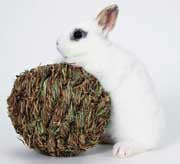 Marshall Woven Grass Play Ball for Small Animals Light Green - Small - Pet