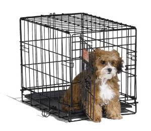 Midwest lb1518 iCrate with Divider Panel 18LX12WX14H {L - 1}277710 - Dog