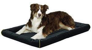 Midwest Quiet Time Maxx Bed Black 42x29 {L - 1}277232 - Dog
