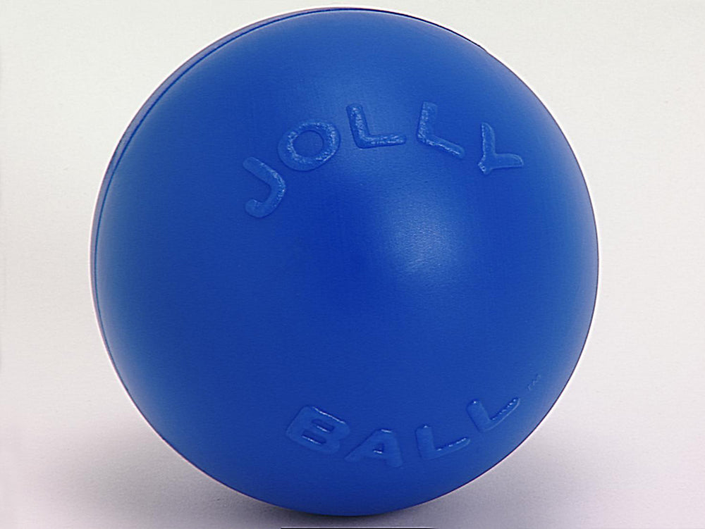 Jolly Pet Push-n-Play Plastic Dog Toy Blue Large, 10 in 788169031027