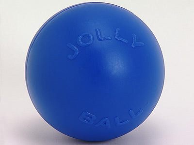 Jolly Pet Push-n-Play Plastic Dog Toy Blue Large, 10 in 788169031027