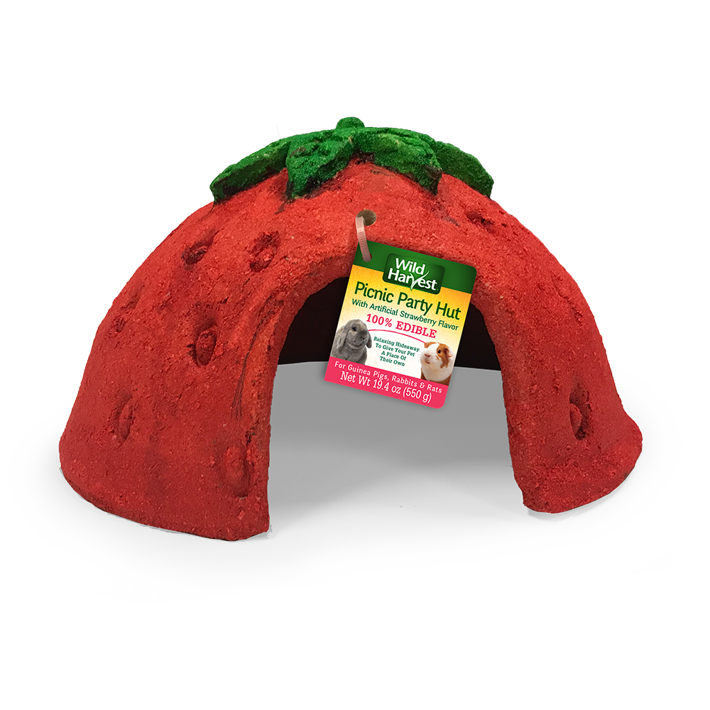Wild Harvest Picnic Party Strawberry Hut for Small Animals 026851992790