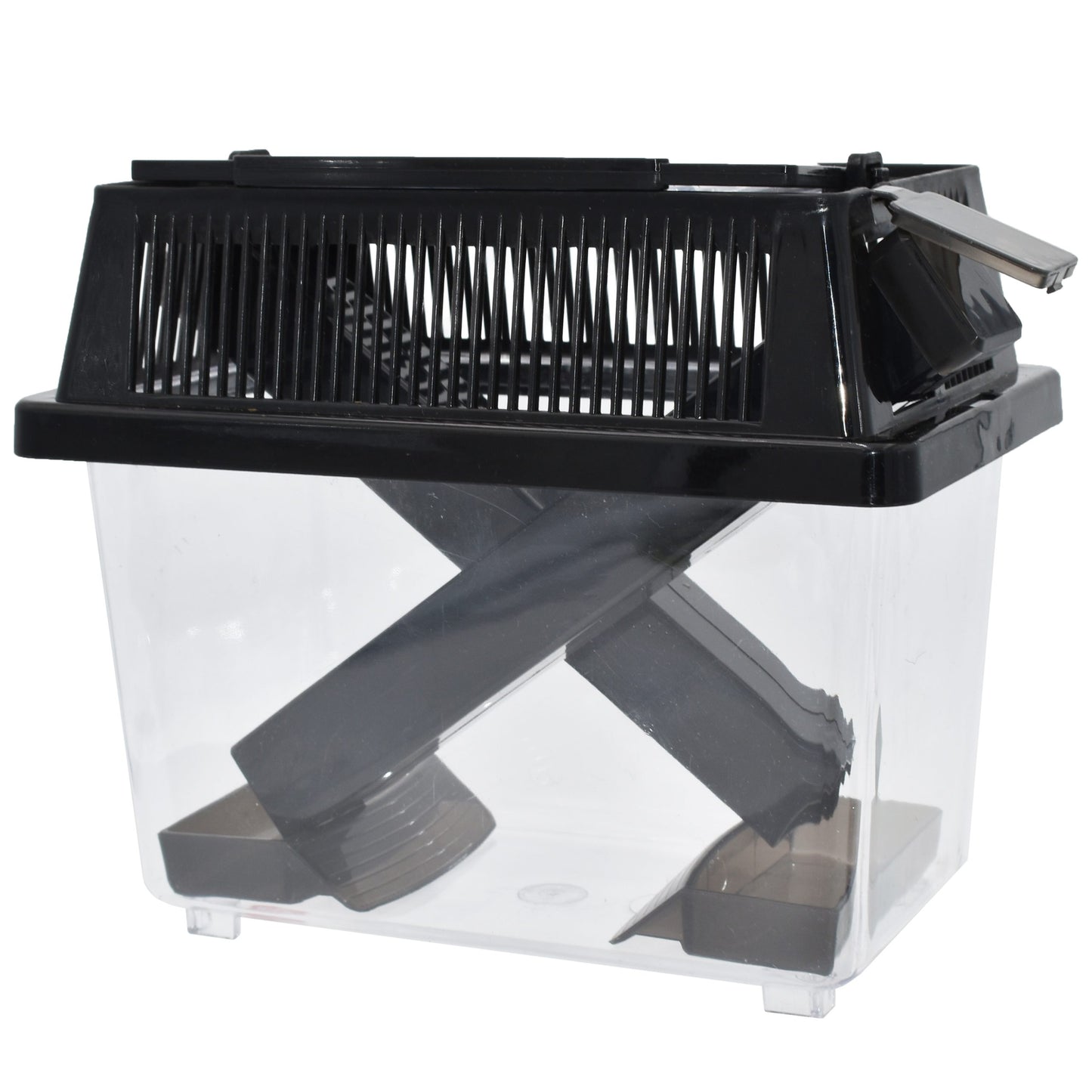 Komodo Cricket Keeper Box 7 in, Small 784369934519