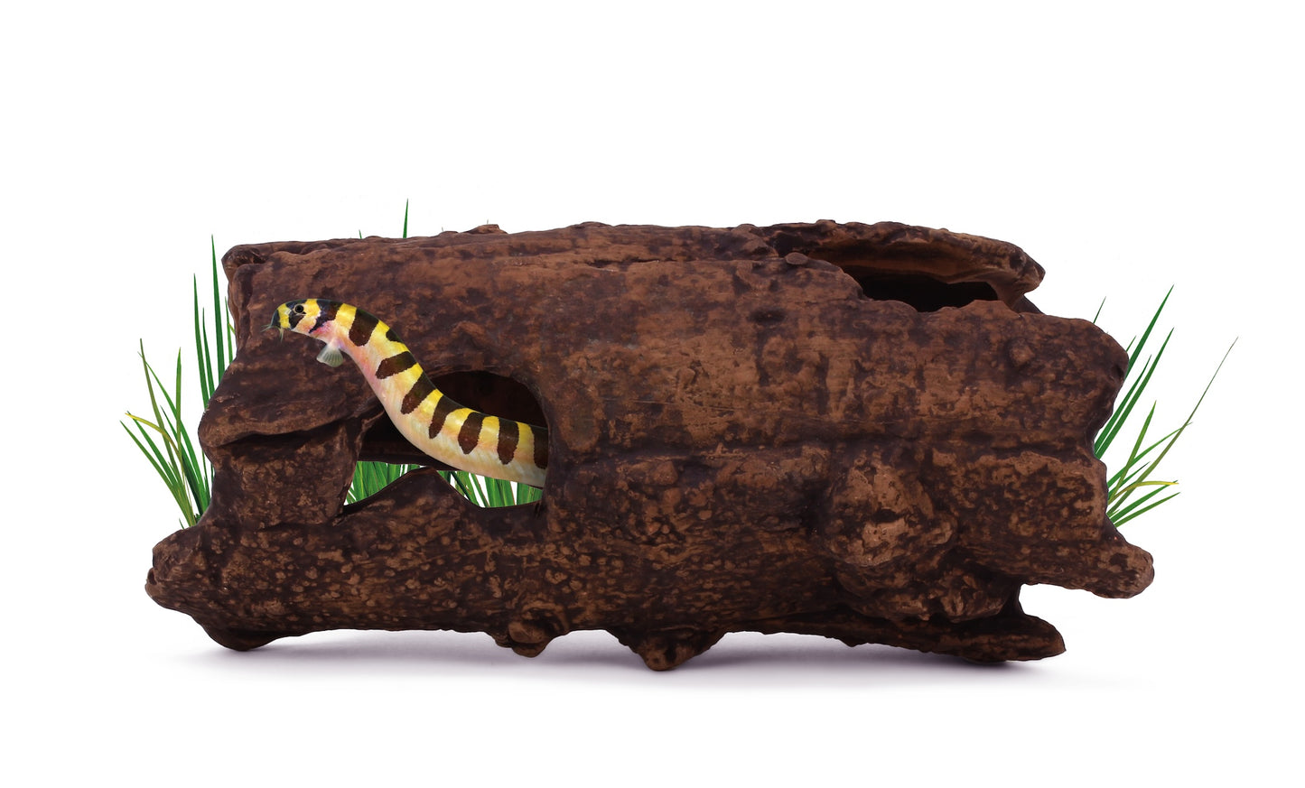 aquavitro Ceramic Hides Aquatic Ornament L2 000116070935