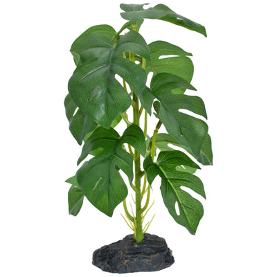 Komodo Standing Monstera Plant 10 in 784369933789