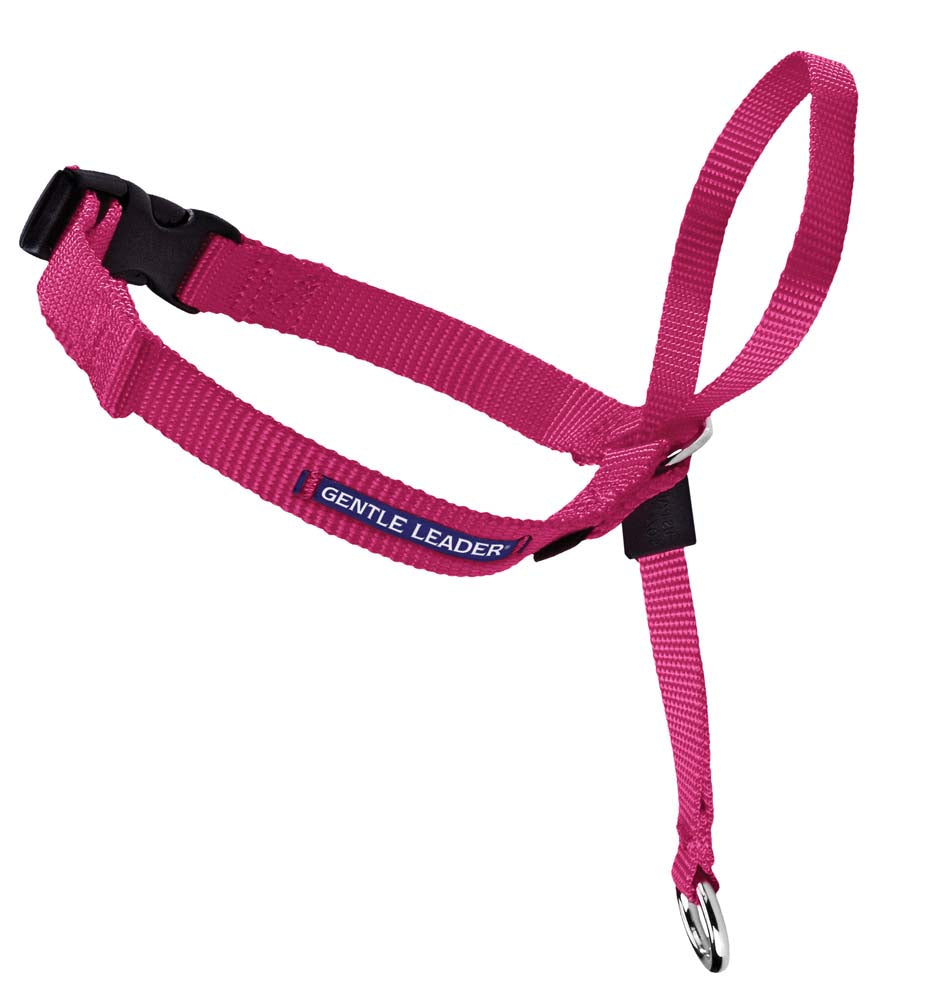 PetSafe Gentle Leader No-Pull Dog Headcollar Raspberry Large 759023094892