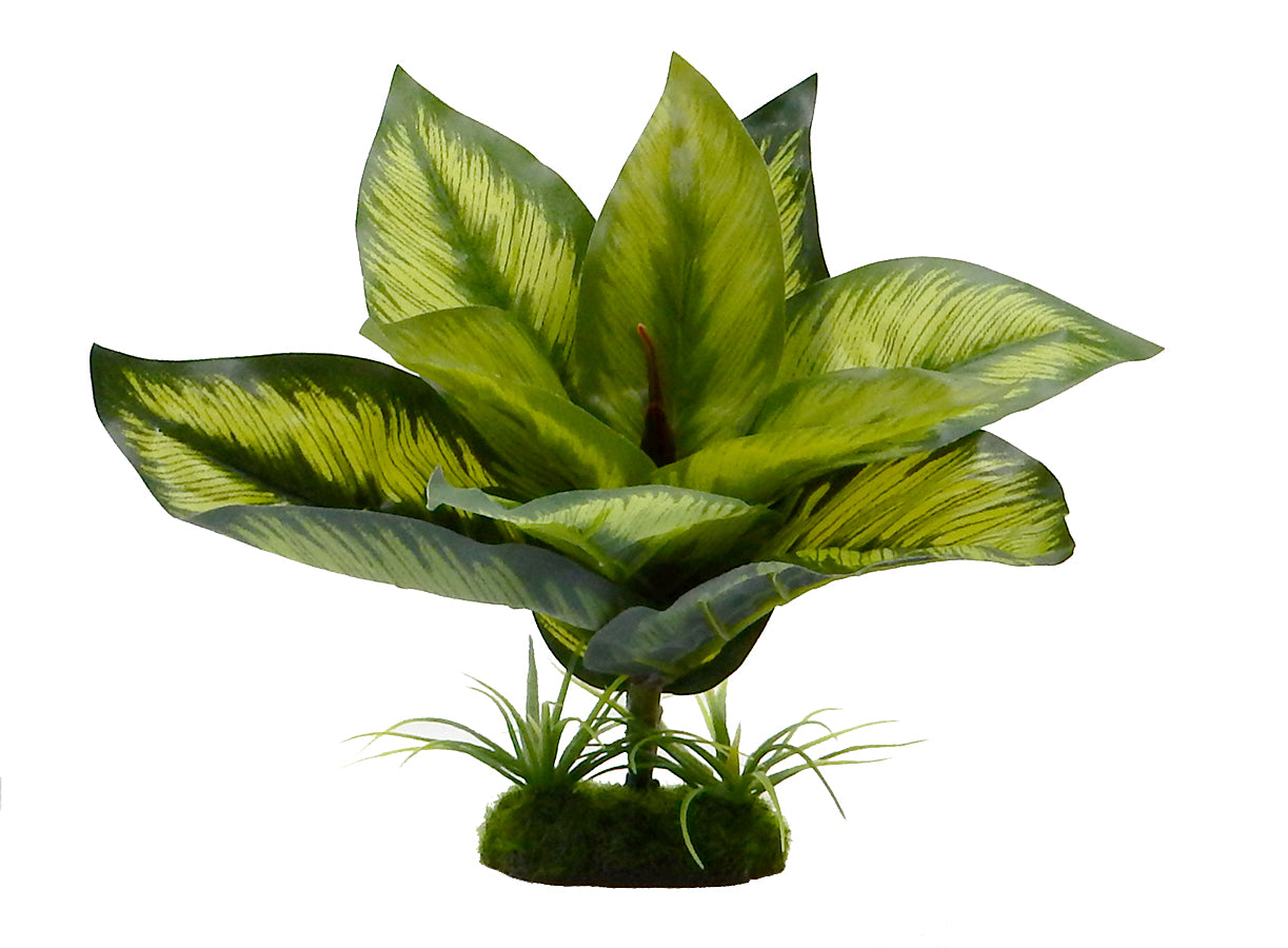 Blue Ribbon Pet Products Tropical Gardens Variegated Diffenbachia 6 in 030157021023