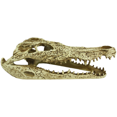 Komodo Alligator Skull Hideout 9 in 784369933161