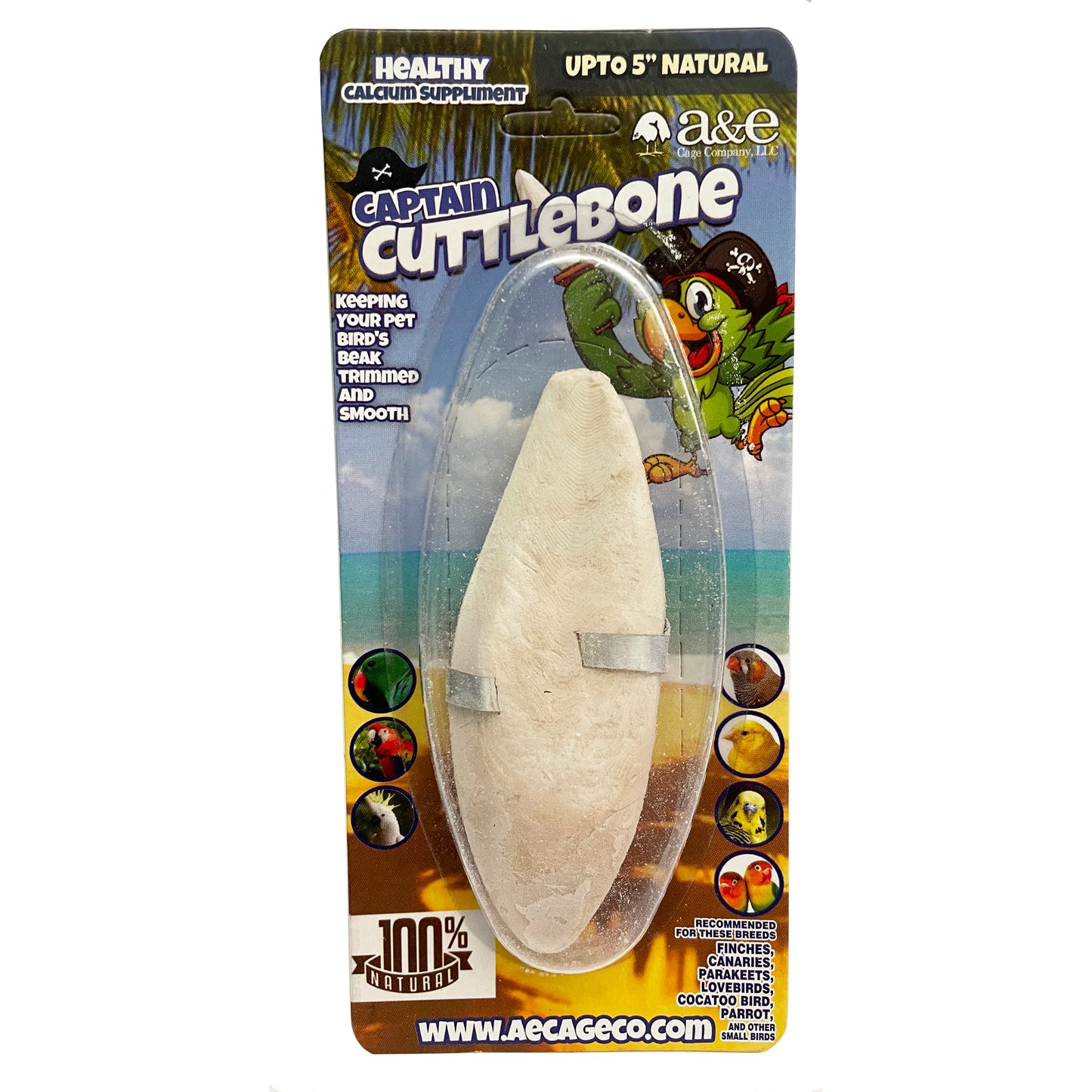 A & E Cages Natural Cuttlebone 5 in 644472017502