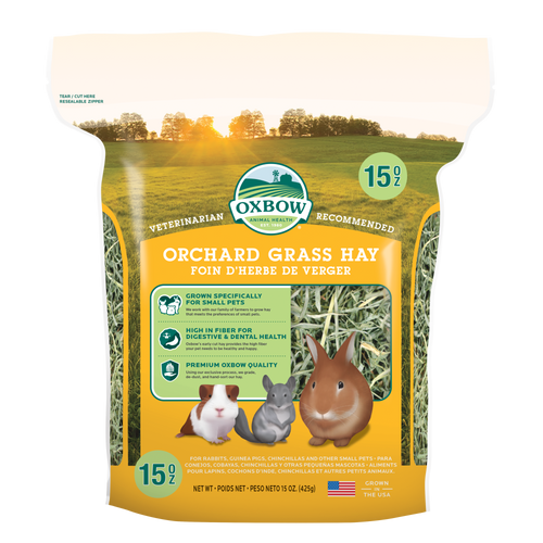 Oxbow Animal Health Orchard Grass Hay 15oz - Small - Pet