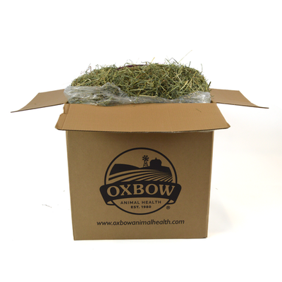 Oxbow Animal Health Orchard Grass Hay 25lb - Small - Pet