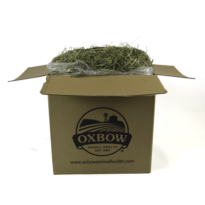 Oxbow Animal Health Orchard Grass Hay 50lb - Small - Pet