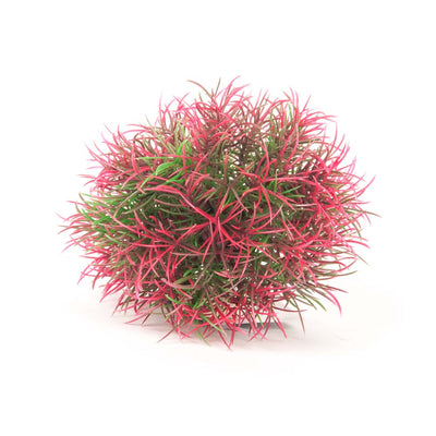 Aquatop Ball Aquarium Plant with Weighted Base Green, Red 5 in 819603015959