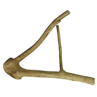 A & E Cages Java Wood Multi Branch Bird Perch Small 644472011166