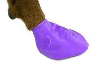 Pawz Dog Boots 12 pk. Large {L+1x} 975105 897515001055