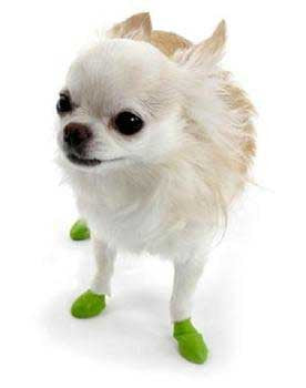 Pawz Dog Boots - 12 pk. Tiny {L+1x} 975100 897515001000