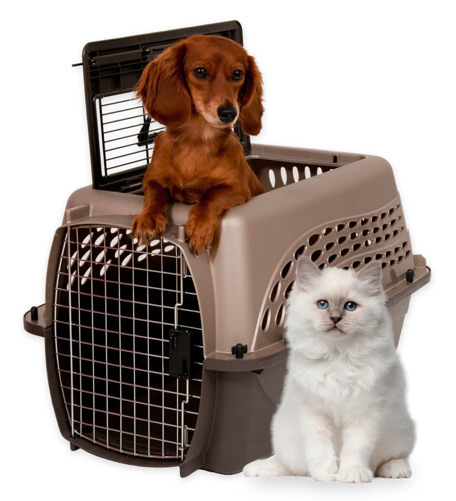 Petmate 2 Door Top Load Dog Kennel Metallic Pearl Tan, Coffee Grounds 24 in