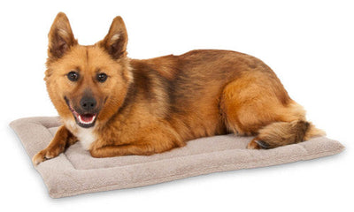 Petmate Kennel Dog Mat Grey 23.5 Inches X 16.5