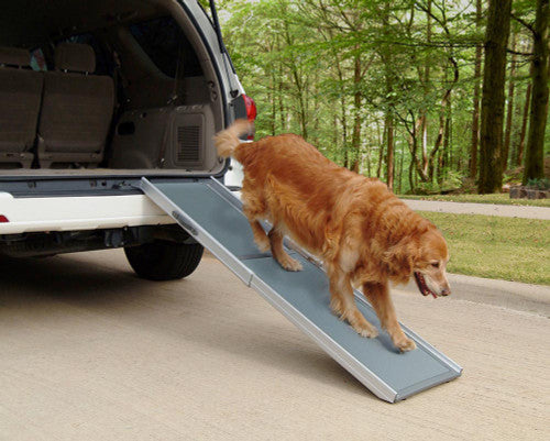 PetSafe Happy Ride Telescoping Pet Ramp for Dogs Grey Regular - Dog