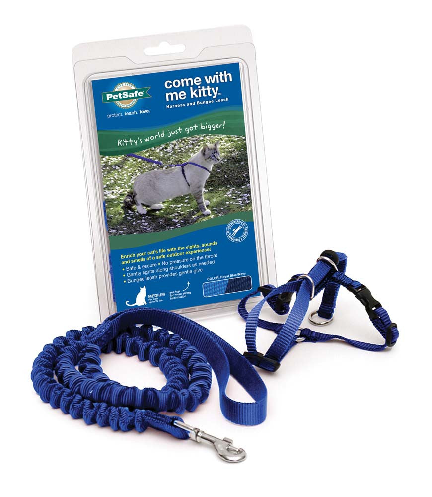 PetSafe Premier Come With Me Kitty Harness & Bungee Leash Combo Royal Blue/Navy SM