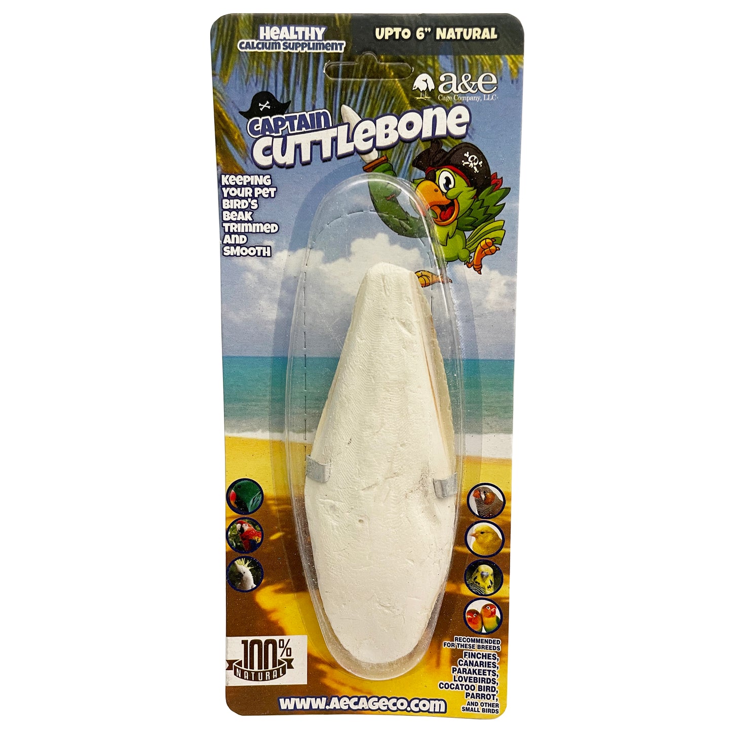 A & E Cages Natural Cuttlebone 6 in 644472016697