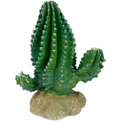 Komodo Cactus Plant Columnar 5.9 in 784369933208