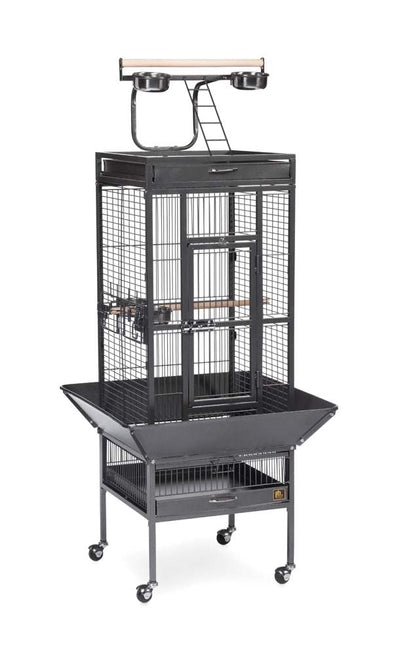 Prevue 3151 Select Series Wrought Iron Bird Cage Hammertone Black