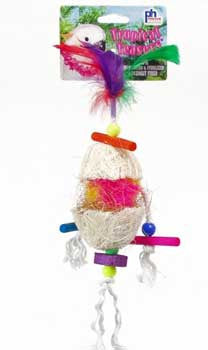 Prevue 62503 Tropical Teaser Fireball {L + 1} 480721 - Bird