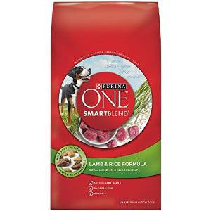 Purina ONE SmartBlend Healthy Puppy Formula Dry Dog Food, 16.5 lb Bag