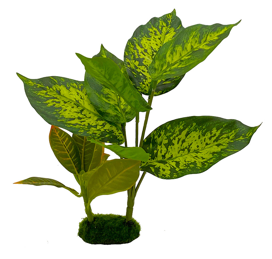 Blue Ribbon Pet Products Tropical Gardens Dieffenbachia Aquarium Plant 10 in 030157020972