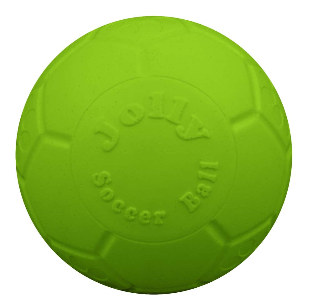 Jolly Pet Soccer Ball Boxed Dog Toy Green Small, 5.5 in 788169720631