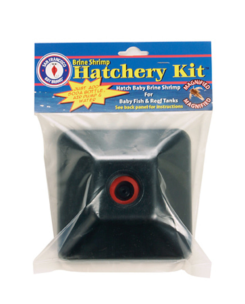 San Francisco Brine Shrimp Hatchery Kit Black