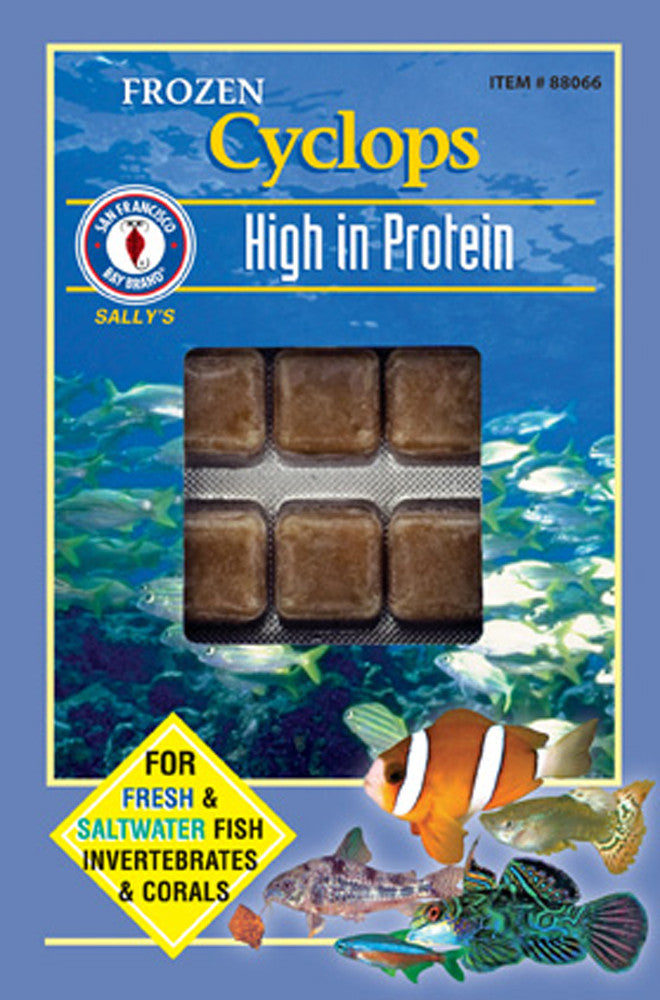 San Francisco Cyclops Frozen Fish Food 3.5 oz SD-5