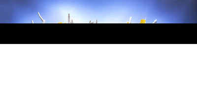 Seaview Double Sided Background Coral Bliss & Luscia Reef 12 Inches X 50 Feet - Aquarium