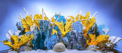 Seaview Double Sided Background Coral Bliss & Luscia Reef 24 Inches X 50 Feet - Aquarium