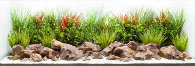 Seaview Double Sided Background Crisp River & Coastal Hues 24 Inches X 50 Feet - Aquarium