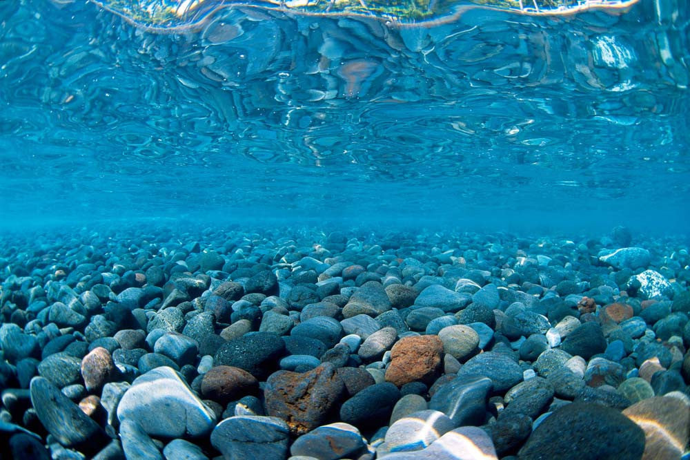 Seaview Double Sided Background River Rock & Sea of Green 12 Inches X 50 Feet