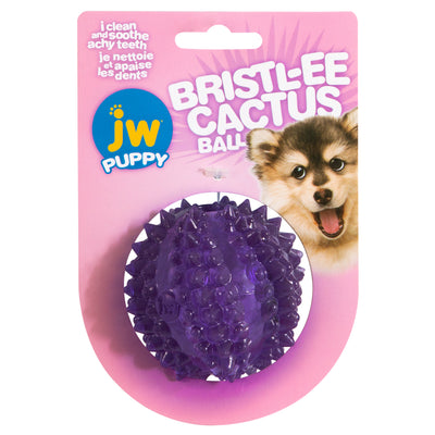 JW Pet Bristl-ee Cactus Ball Puppy Toy Puppy 029695606366