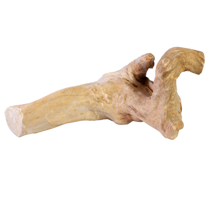 A & E Cages Java Wood Reptile Branch Medium 644472002232