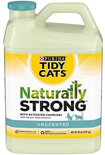 Tdycat Nat Strong Scp Ltr 2/20# - Cat