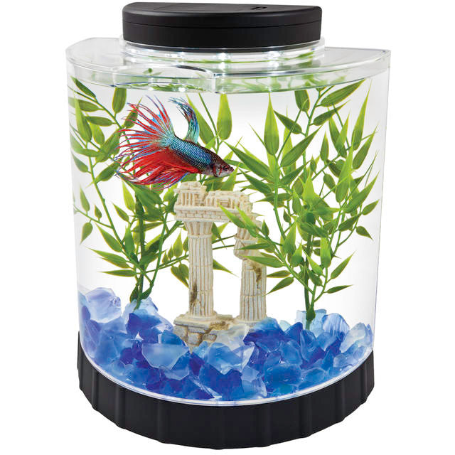 Tetra LED Half Moon Betta Kit Clear 1 gal