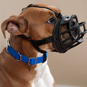 The Company Of Animals Baskerville Ultra Muzzle For Dogs-dogs 10