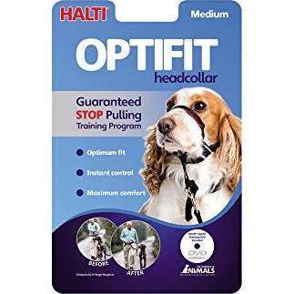 The Company Of Animals Dog Halti Optifit Medium {L-x} 886284125208