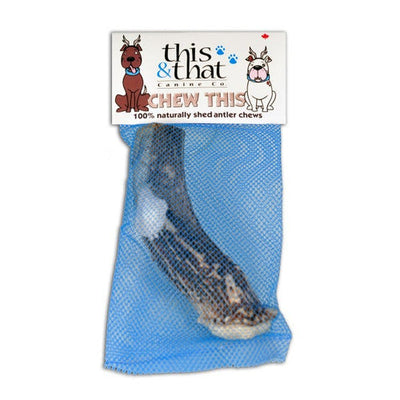 This & That Dog Toughest Antler Large 4.5oz {L + x}