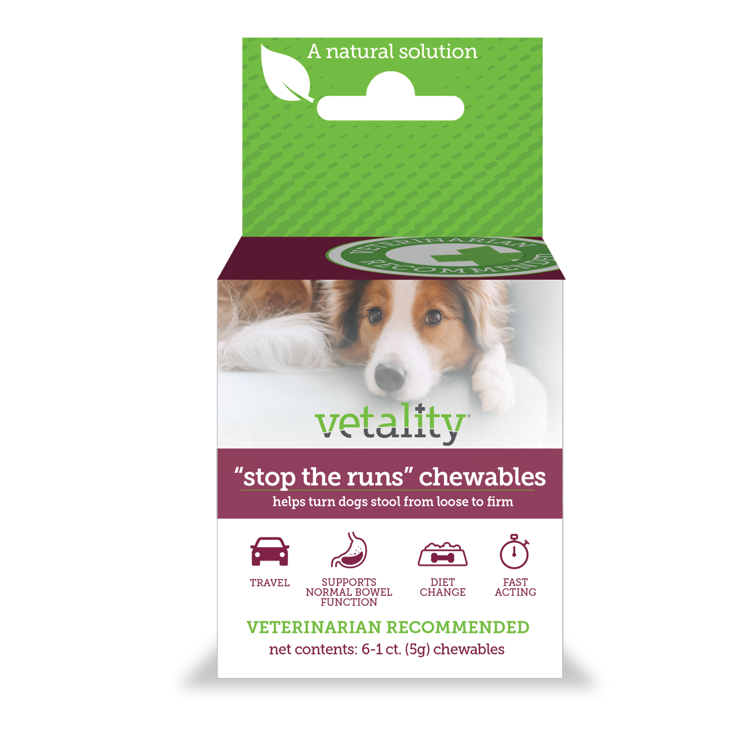 Vetality Stop the Runs Chewables for Dogs 6 ct 190623300035