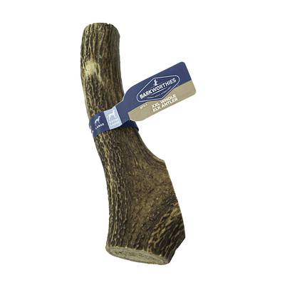 Barkworthies Whole Elk Antler Dog Treat 2X-Large 840139126734