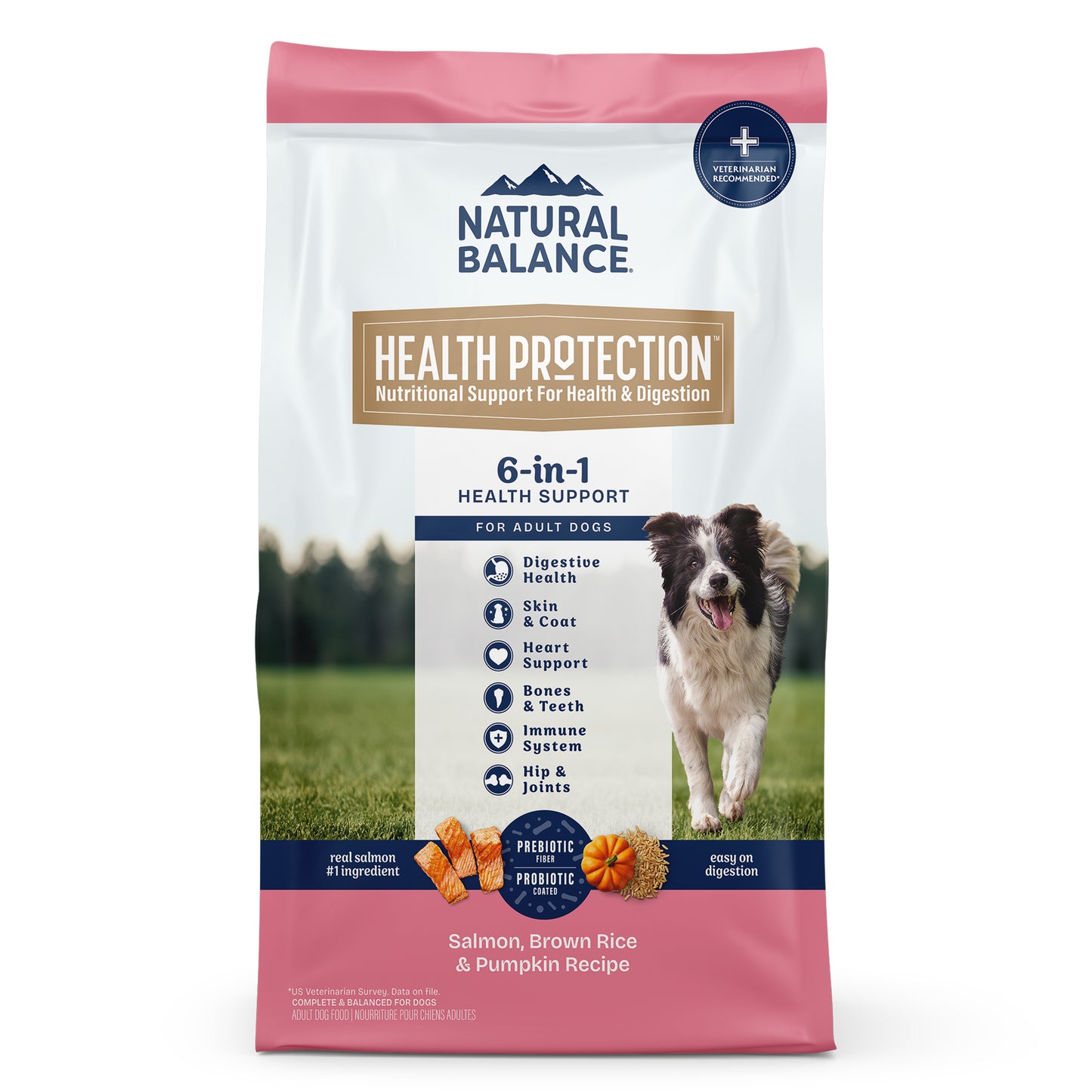 Natural Balance Pet Foods Health Protection Dry Dog Food Salmon, Brown Rice & Pumpkin 22 lb 723633006644