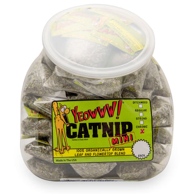 Yeowww! Catnip Mini Counter Display Jug 50 ct 812402001253
