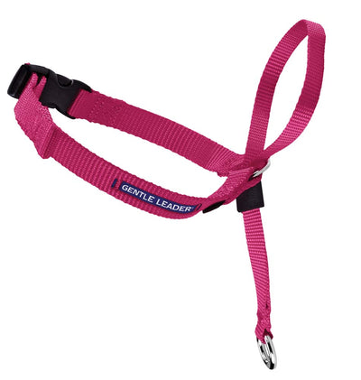 PetSafe Gentle Leader No-Pull Dog Headcollar Raspberry Medium 759023094885
